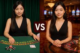 樂魚體育app官方網站入口